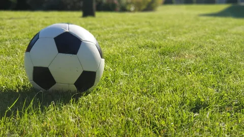 成都世界运动会“竹梦”火炬首次闪耀点亮