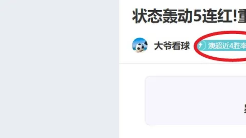 AC米兰1-1费耶诺德【总比分1-2】，欧冠之旅落幕